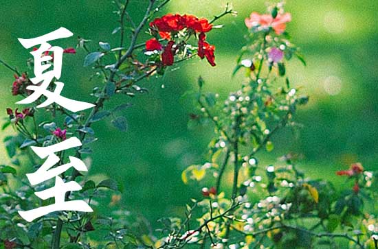 夏至地球在太阳的哪个方向 夏至养生方法 夏至地球在太阳的哪个方向 夏至养生方法