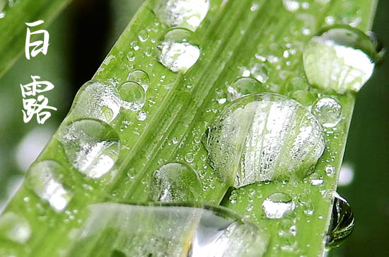 白露下雨有什么寓意 白露的养生原则