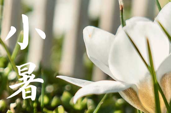 小暑2024年是几月几日星期几 2024年7月6日是小暑