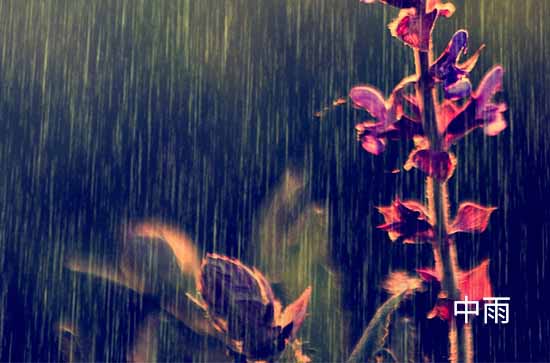 台南今日天气中雨转小雨 台南2024年11月10日天气预报