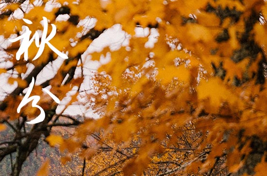 2024年秋分是几月几日 2024年秋分弄出殡好不好