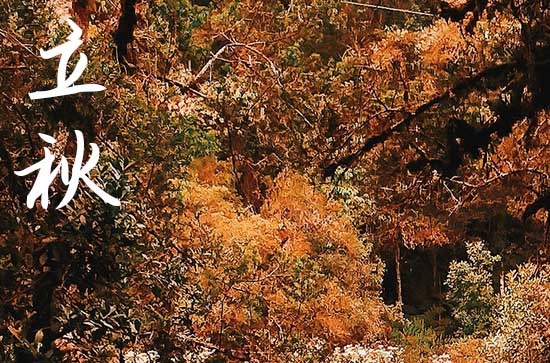 2024立秋是哪天 2024年立秋可以安装大门门框吗