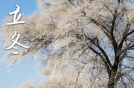 立冬是2023的几月几日 2023立冬当天可以乔迁新居吗