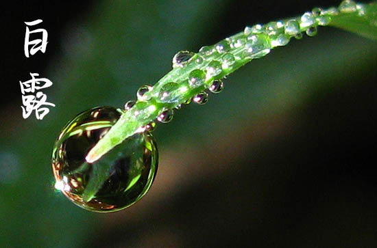 2024年白露是什么时候时间 今天日子好不好