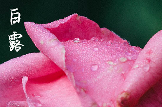 2024年白露是什么时候 2024年白露弄安装大门门框好不好