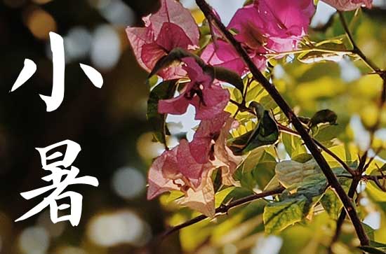 2024年小暑是几点几分几秒 2024小暑那天海钓好不好