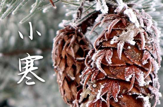 祝福小寒节气句子(9篇)