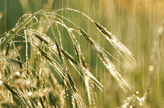 11日白天湖南永州郴州等地仍有降雨 今夜起全省大部降雨停歇                    