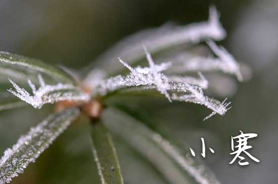 小寒吃什么传统美食 2024年小寒节气是哪天