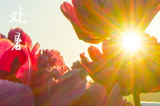 处暑是几月几号2024年 2024处暑那天置产好吗 处暑是几月几号2024年 2024处暑那天置产好吗