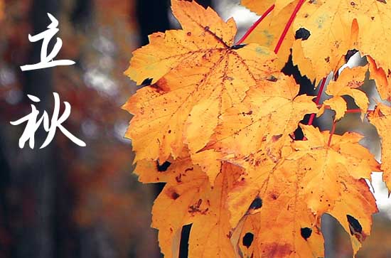 2024年立秋是几点几分