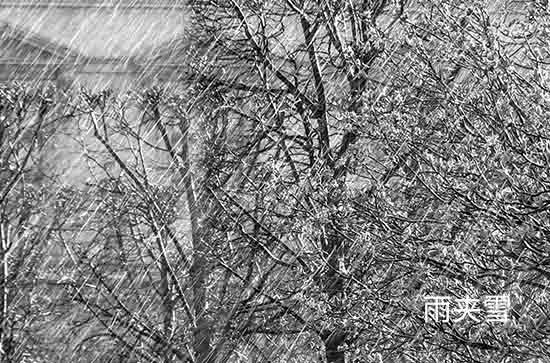 定西今日天气如何 2024年11月13日今日黄历 定西今日天气如何 2024年11月13日今日黄历