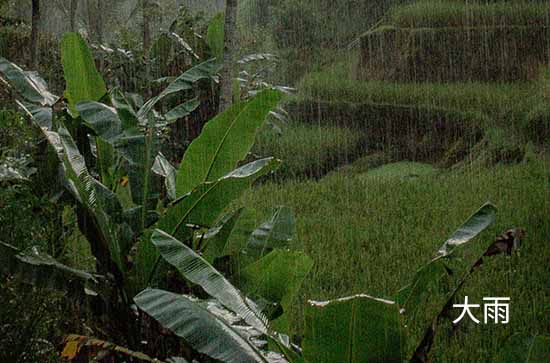 7月14日南通会下雨 今日大雨温度29℃~24℃ 7月14日南通会下雨 今日大雨温度29℃~24℃