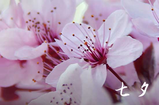 2024七夕送什么礼物好给女朋友 有仪式感的礼物清单