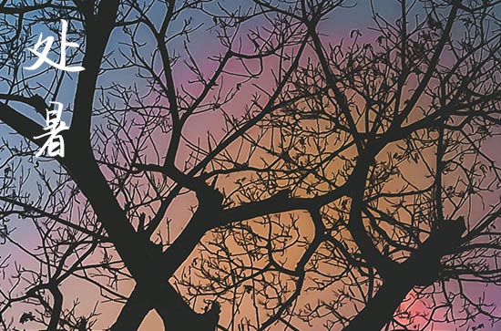 2024处暑是哪天 2024年8月22日处暑举办丧礼适合吗