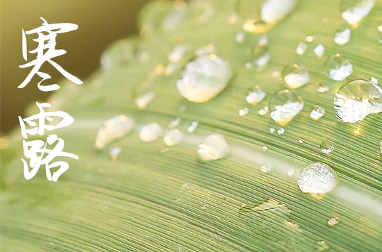 寒露祝福语