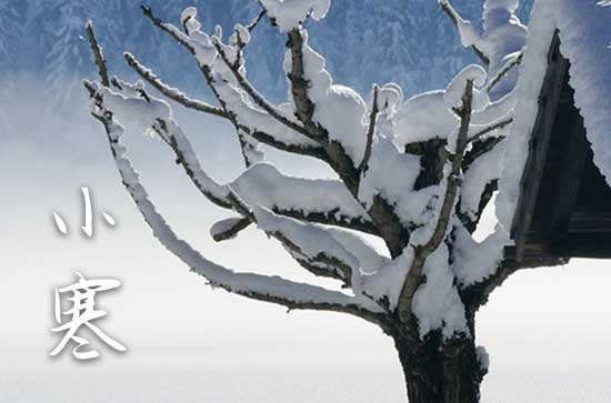 24年小寒是几点几分