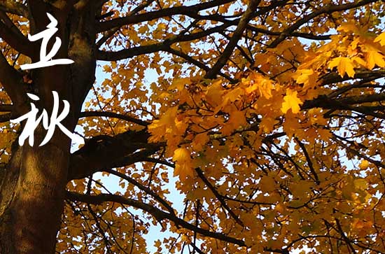 2024年农历几号立秋 2024年8月7日立秋当天厨房移位好吗 2024年农历几号立秋 2024年8月7日立秋当天厨房移位好吗