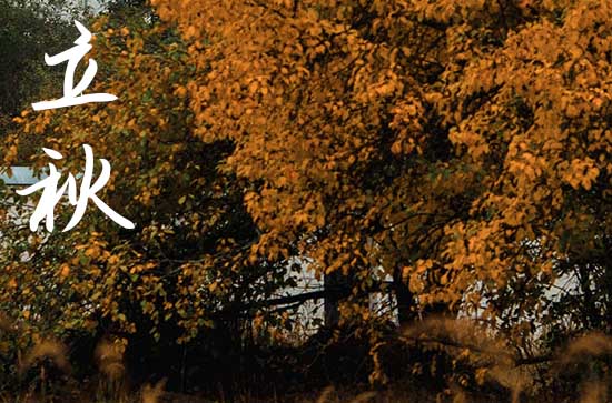 2024年立秋农历时间 2024年立秋适合安机器吗