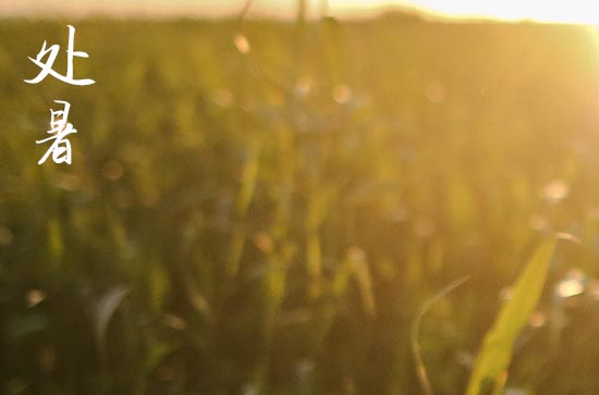处暑2024年是几月几日星期几 2024年处暑是入学的好日子吗 处暑2024年是几月几日星期几 2024年处暑是入学的好日子吗