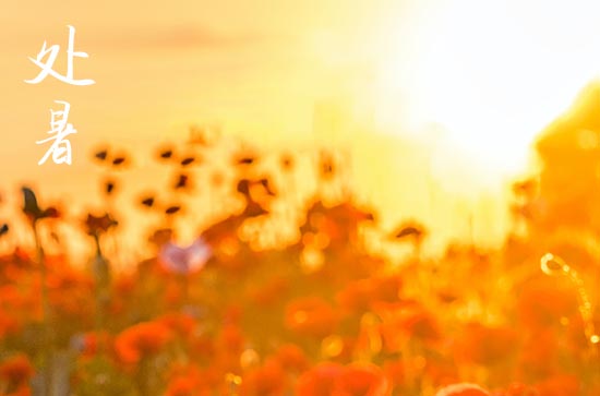 2024年处暑农历时间 2024年处暑迁移祖坟吉利吗