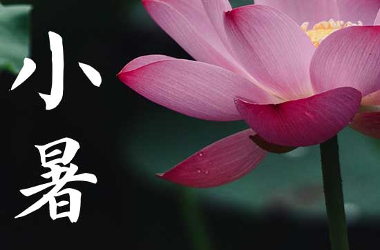 2024年小暑时间是什么时候 2024年7月6日小暑黄历