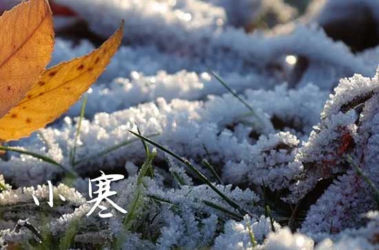 今年小寒是什么时候2024
