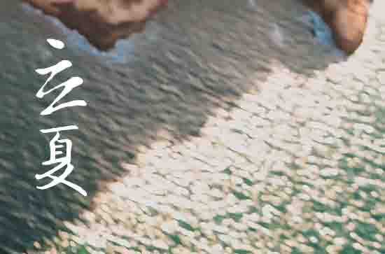 立夏是2024的几月几日