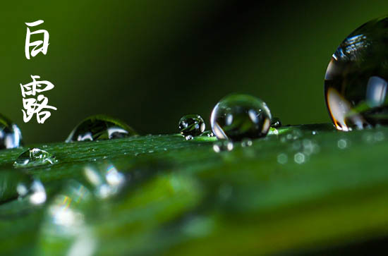 白露2024年是几月几日星期几 2024年9月7日白露当天回老家好吗