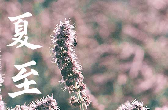 夏至节气有哪些传统习俗 夏至节气的禁忌事项 夏至节气有哪些传统习俗 夏至节气的禁忌事项