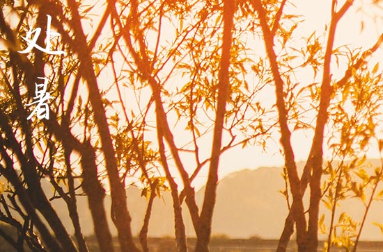 2024处暑是农历哪一天 2024年8月22日处暑是沐浴吉日吗