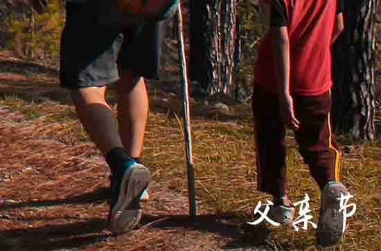 2024父亲节祝福语  最新父亲节祝福语精选