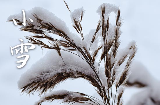 小雪节气下冰雹正常吗 小雪节气会下雨吗