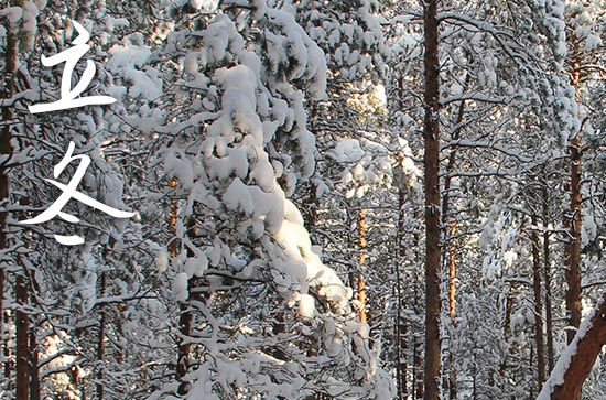 立冬节气给老婆的祝福语