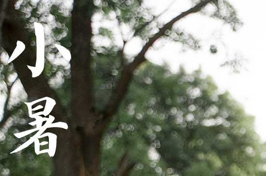 小暑2024年是几月几日星期几 2024年小暑看望病人行吗