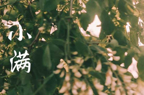 2023年明天小满是几点