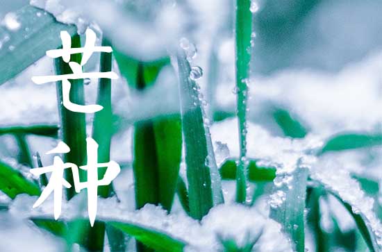 2024年芒种节气吃什么食物好