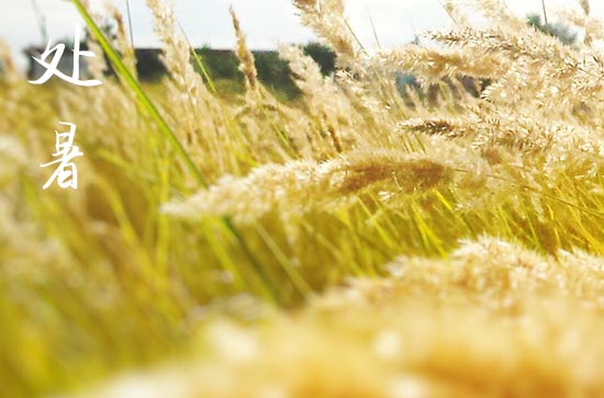 2024年处暑是几月几日 2024处暑这天宜做什么