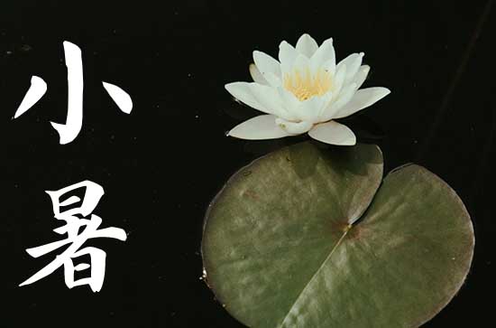 2024小暑是哪一天 2024小暑这天宜做什么