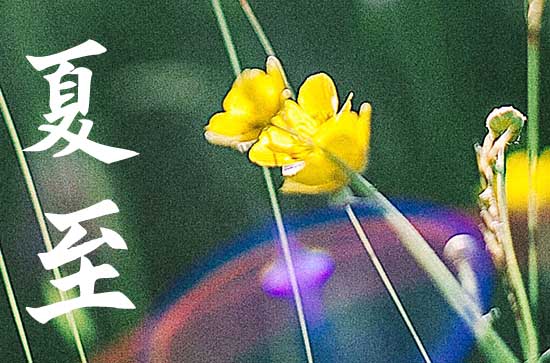 2023年6月21日是什么节日 6月21日是夏至