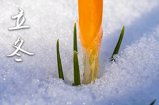 立冬是2023的几月几日 2023年立冬结婚领证吉利吗