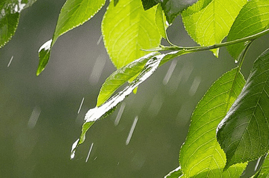 2023年梅雨季节几号到几号