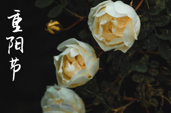 2023年9月几号是重阳节