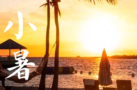 小暑是几月几号2024年 2024小暑当天可以举办婚礼吗