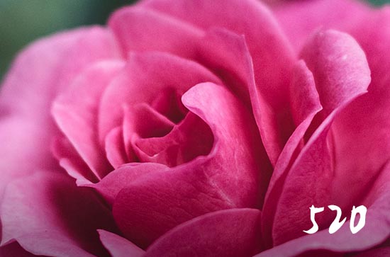 拍抖音不是为了取悦谁文案短句