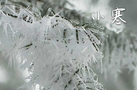2024年小寒几点几分几秒 小寒的天气特点