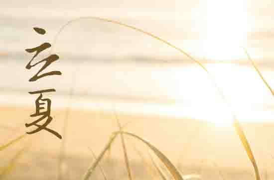 2024年立夏和夏至各代表什么意思 2024年立夏和夏至各代表什么意思