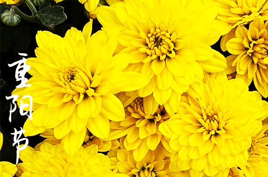 重阳节之习俗 重阳节会举行哪些活动_