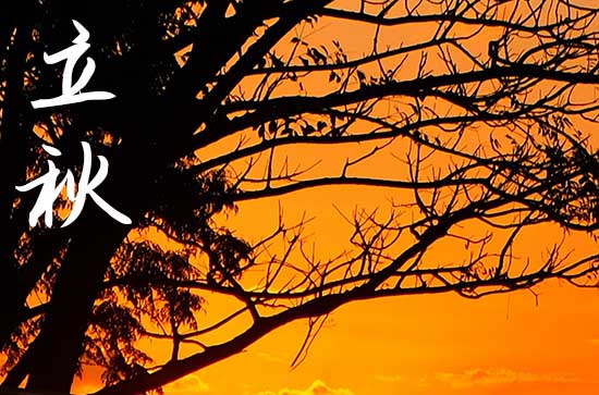 立秋2024年是几月几日星期几 2024年8月7日立秋这天拜土地公好吗 立秋2024年是几月几日星期几 2024年8月7日立秋这天拜土地公好吗