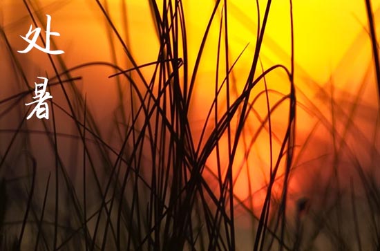 2024年处暑是什么时候时间 2024年8月22日处暑这天出货好吗